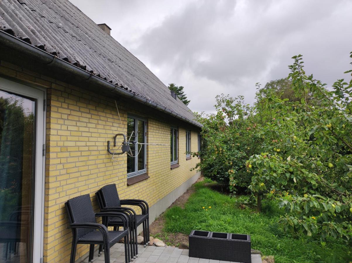Hjortdal B&B Fjerritslev エクステリア 写真
